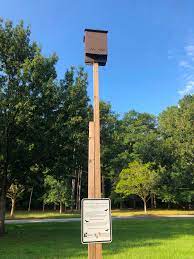 Bat House
