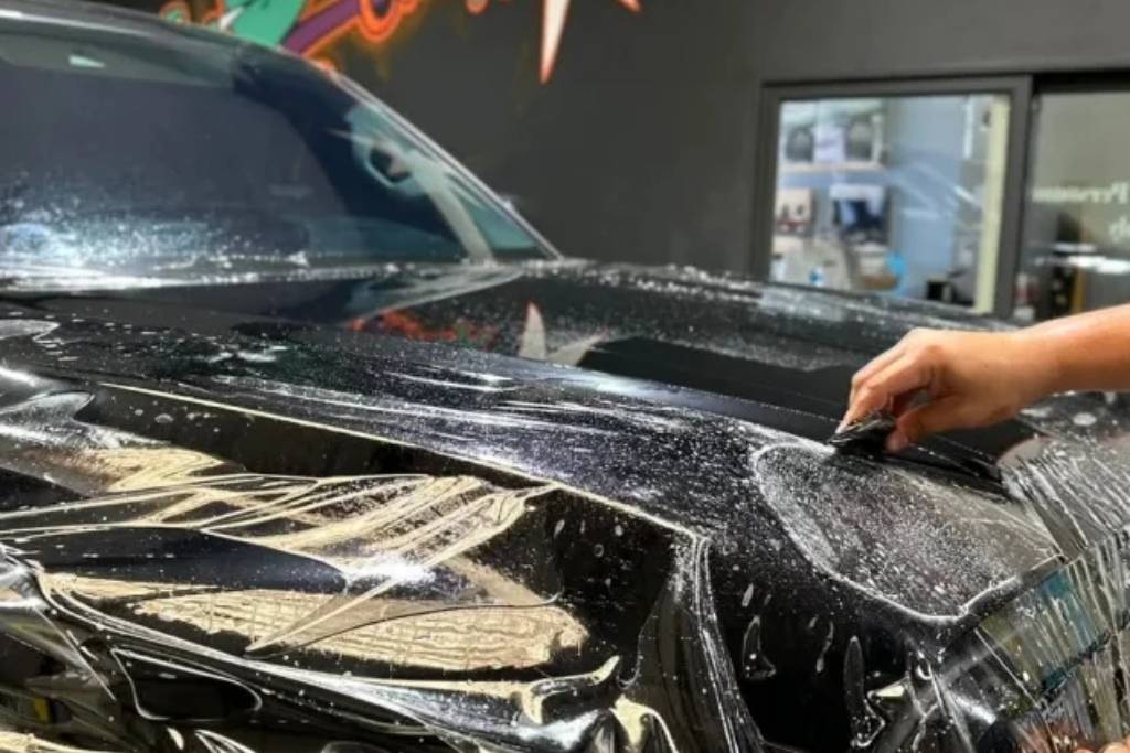 Paint Protection